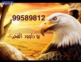  للايجار شقه العارضيه ق3 