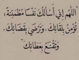  شقه للأيجار فهد الاحمد 