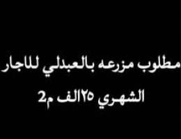  مطلوب مزرعه للاجار الشهري 