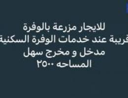  للايجار مزرعة بالوفرة قريبه عند خدمات و الوفرة السكنية 
