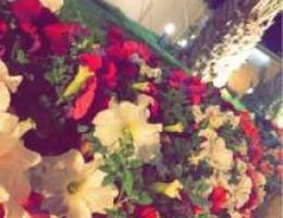  شهري الوفره قرب فرع قطعه 9 