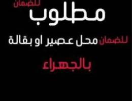  مطلوب محل للضمان 