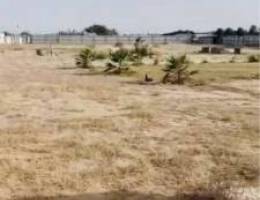  للاجار بالوفرة مزرعة شهرى 6000 