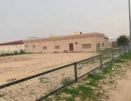  للأجار جاخور بالوفرة 