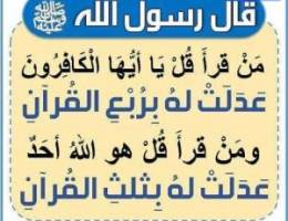  للإجار ربع جاخور للحلال كبد 