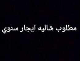  مطلوب شاليه ايجار سنوي 