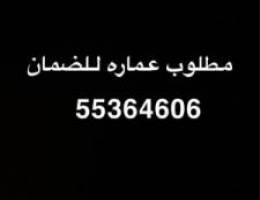  مطلوب عماره للضمان 
