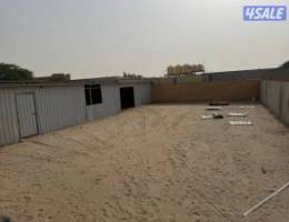  لايجار شهري يصلح الخيل الحلال 