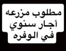  مطلوب مزرعه للأيجار 