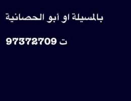  مطلوب عقار للإيجار على البحر بالمسيلة أو أبو الحصانية 