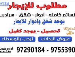  سرداب للايجار 