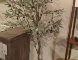  مطلوب استديو او غرفه وصاله 