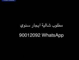  مطلوب شالية ايجار سنوي 