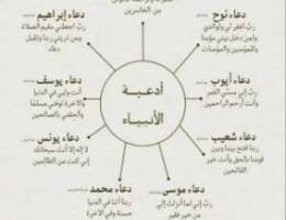  للايجار شقه في صباح الناصر 
