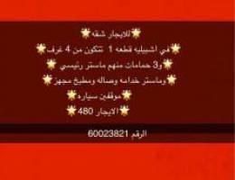  شقه للايجار 