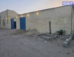  للايجار سطبل كامل بافروسيه الجهراء 