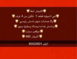  شقه للايجار 