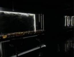  شقه بحولي 
