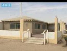  للاجار ديوانيه بالهجن 