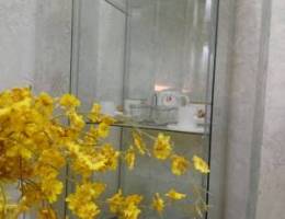  القادسيه شقه  جديده للإيجار 