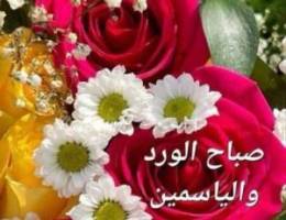  للإيجار ثلاث شقق بالمطلاع \n\nللإيجار ثلاث شقق  سعد العبدالله \n\nللإيجار 