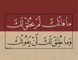  للأيجار دور ارضي و سرداب جنوب عبدالله مبارك 
