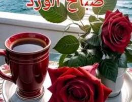 للايجار بيت حكومي 