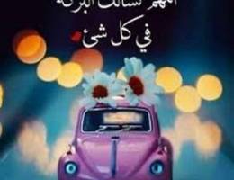  شقه للايجار 