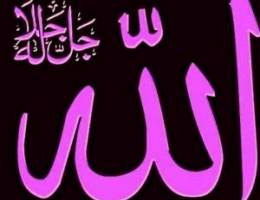  للايجار شقه في ابو فطيره 