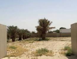  خلف مزرعة الحويلة 