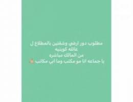  مطوب بالمطلاع 