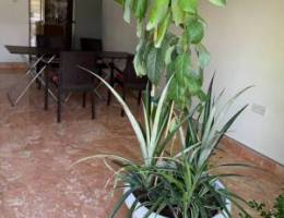  Mini house for rent 