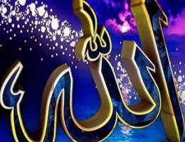  للايجار غرفه وصالة ابو فطيرة 