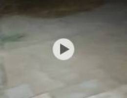  للايجار ربع جاخور محصار 