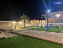  اجار سنوي  كبد 