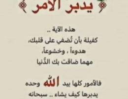  للايجار شقه فى الفنيطيس 