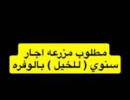  مطلوب مزرعه بالوفره 