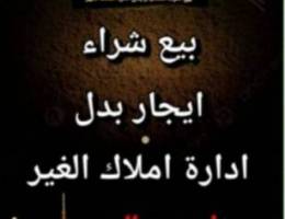  للايجار شقه بسعد العبدالله قطعه ١ 