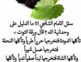  الشعب البحري 