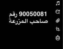  ‏مزرعة للإيجار في الوفرة 
