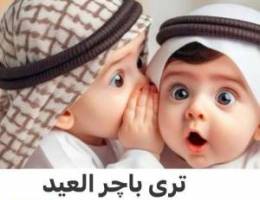  شقه للايجار دور اول  3 غرف نوم 2 حمام ١ مطبخ صاله   موقف ٢ سياره 