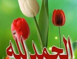  للايجار في الاندلس شقة ارضية 