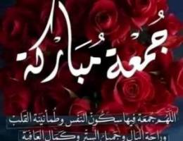  للايجار شقق فى ابو فطيره و الفنيطيس 
