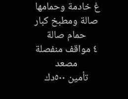  دور للايجار 