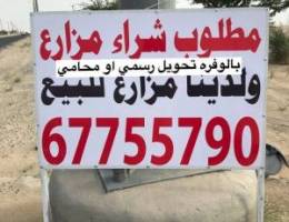  للإيجار جاخور في الوفرة 
