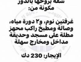  للإيجار في المطلاع N7 شقة غرفتين وصالة و٢ دورة مياه مع مطبخ بروحها 