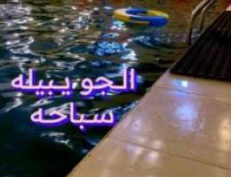  الدرة فارم العبدلي V.I.P 