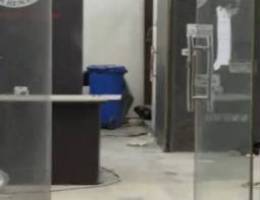  للإيجار محلين داخل بعض 