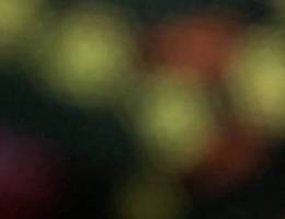  شقه لايجار 