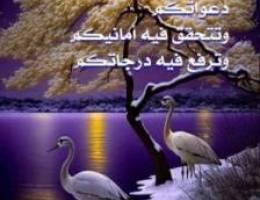  للايجار دور اول خمس غرف وصاله ومطبخ مجهز وخدمتهم 